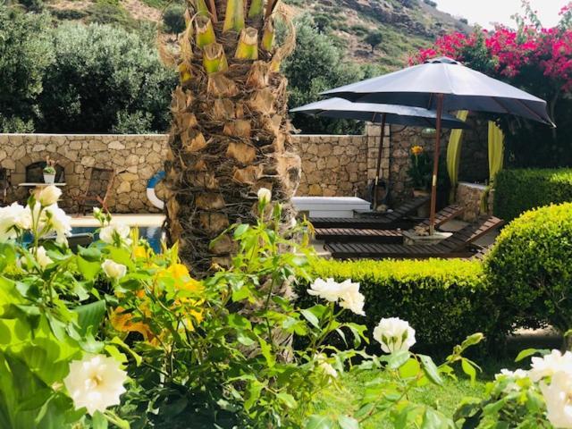 La Bastide Apartment Скирос Екстериор снимка