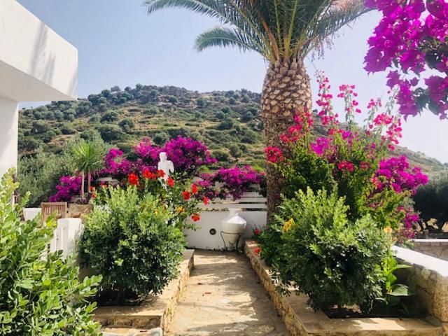 La Bastide Apartment Скирос Екстериор снимка
